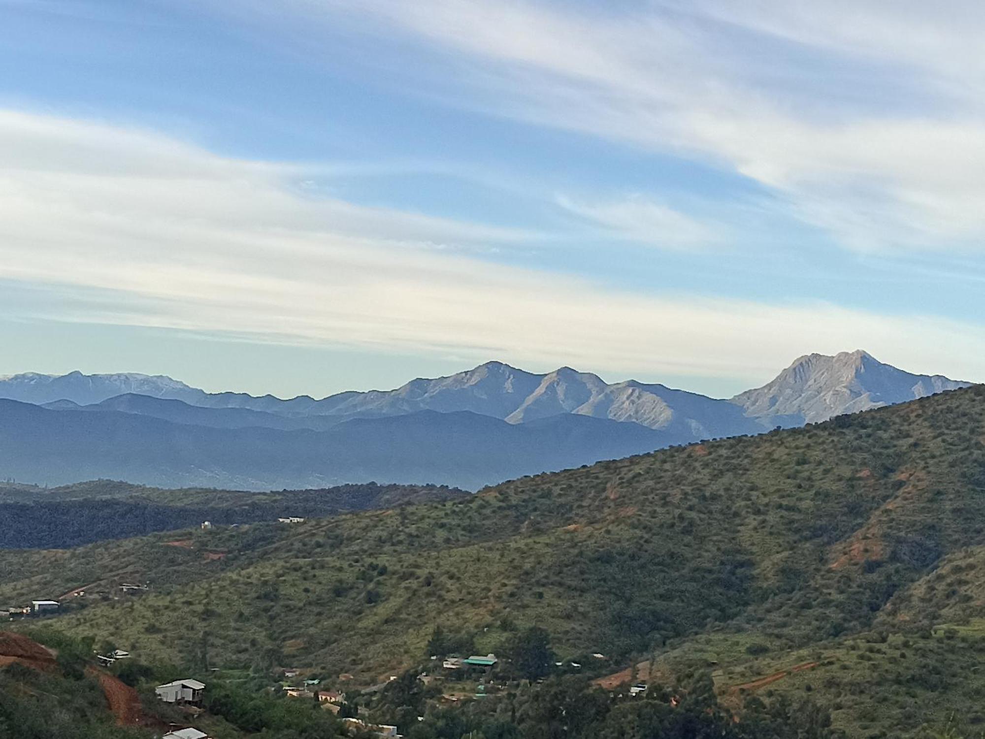 Asclepia Quebrada Escobares